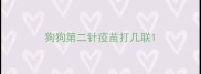狗狗第二针疫苗打几联