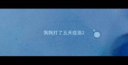 狗狗打了五天疫苗