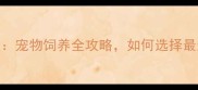 泰迪熊vs泰迪犬宠物饲养全攻略如何选择最适合你的萌宠