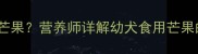 金毛幼犬能不能吃芒果营养师详解幼犬食用芒果的利弊与安全指南