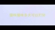 猫咪猫咪多大可以打针