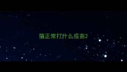 猫正常打什么疫苗
