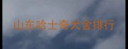 山东哈士奇犬舍排行