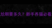 猫咪尴尬期要多久新手养猫必看成长阶段