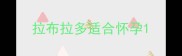 拉布拉多适合怀孕
