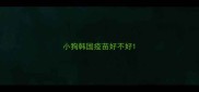 小狗韩国疫苗好不好