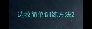 边牧简单训练方法
