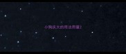 小狗庆大的用法用量