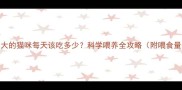 2个月大的猫咪每天该吃多少科学喂养全攻略附喂食量表