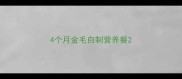 4个月金毛自制营养餐