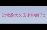 边牧跑太久回来脚瘸了