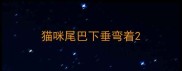 猫咪尾巴下垂弯着