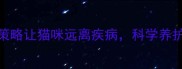 养猫必看3大核心策略让猫咪远离疾病科学养护全攻略附深度