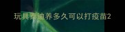 玩具泰迪养多久可以打疫苗