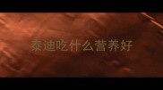 泰迪吃什么营养好