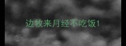 边牧来月经不吃饭