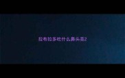 拉布拉多吃什么鼻头亮