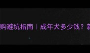 哈士奇幼犬价格及选购避坑指南成年犬多少钱新手必看饲养全攻略
