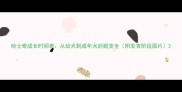 哈士奇成长时间表从幼犬到成年犬的蜕变全附发育阶段图片