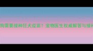 哪些狗狗需要接种狂犬疫苗宠物医生权威解答与接种指南
