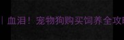 最新养狗价格清单血泪宠物狗购买饲养全攻略附品种价格表