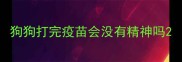 狗狗打完疫苗会没有精神吗