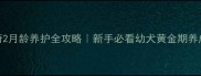 哈士奇2月龄养护全攻略新手必看幼犬黄金期养成指南