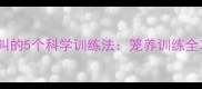 哈士奇关笼子不叫的5个科学训练法笼养训练全攻略与常见误区