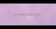 狗狗放臭屁是怎么回事