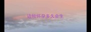 边牧怀孕多久会生