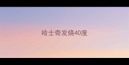 哈士奇发烧40度