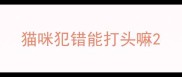 猫咪犯错能打头嘛