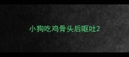 小狗吃鸡骨头后呕吐