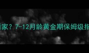 比特犬几个月能看家7-12月龄黄金期保姆级指南养狗人必看