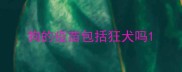 狗的疫苗包括狂犬吗
