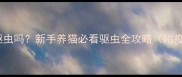 疫苗未接种的猫能驱虫吗新手养猫必看驱虫全攻略附疫苗与驱虫时间表