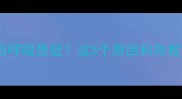 猫咪外出后呼吸急促这5个原因和急救方法全