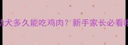哈士奇幼犬多久能吃鸡肉新手家长必看喂养指南