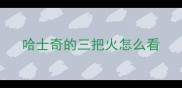 哈士奇的三把火怎么看