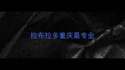 拉布拉多重庆最专业