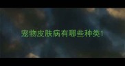 宠物皮肤病有哪些种类