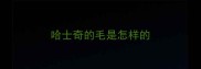 哈士奇的毛是怎样的