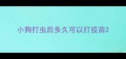 小狗打虫后多久可以打疫苗