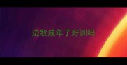 边牧成年了好训吗