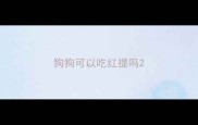 狗狗可以吃红提吗