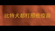 比特犬都打那些疫苗