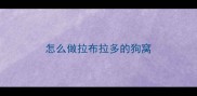 怎么做拉布拉多的狗窝