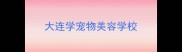 大连学宠物美容学校