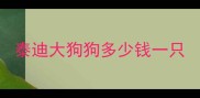 泰迪大狗狗多少钱一只