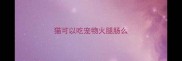 猫可以吃宠物火腿肠么